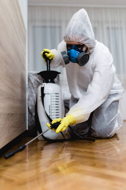 Indoor Pest Control in Meadowlakes, TX